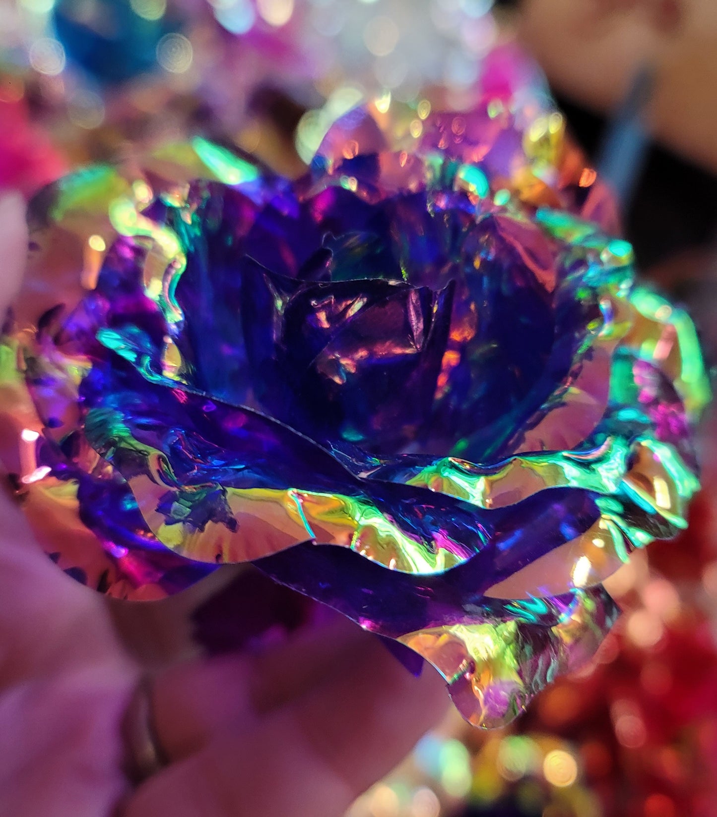 Roses