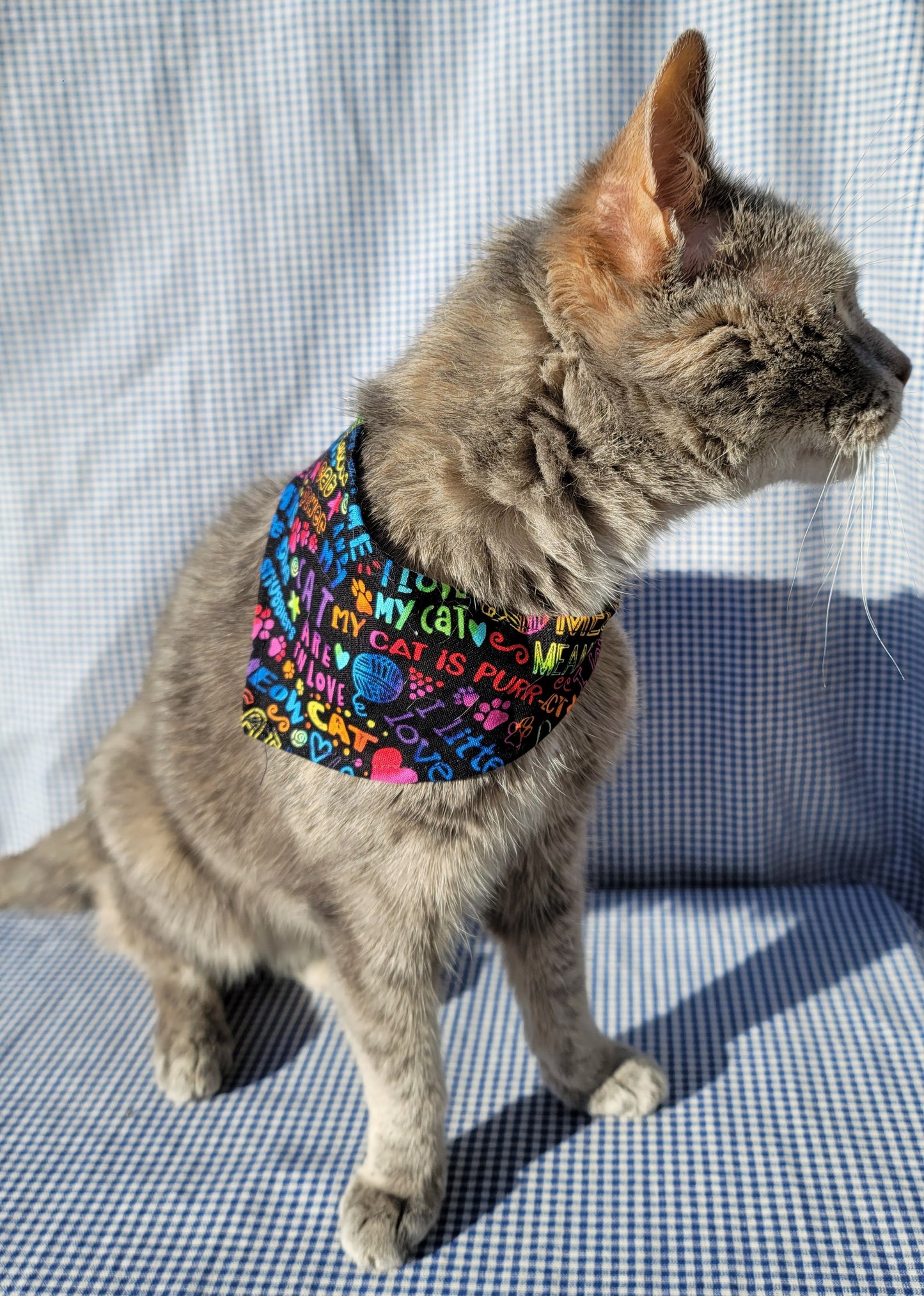 Pet Bandanas - Double Sided & Snap Closure