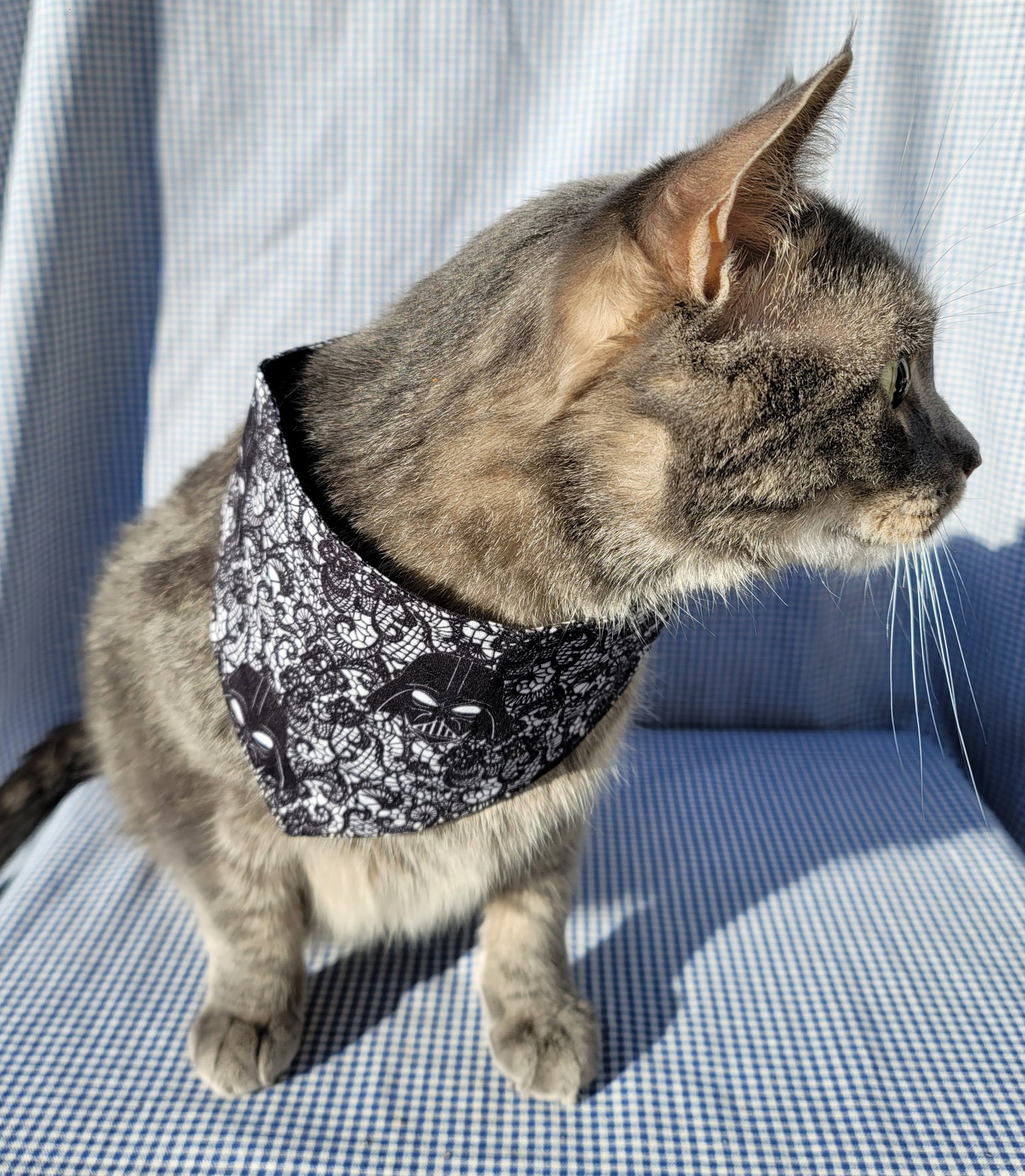 Pet Bandanas - Double Sided & Snap Closure